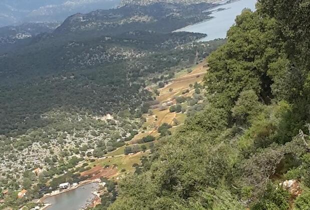 The Purple House - Görsel 19