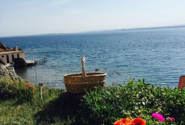 Aloha Otel - Görsel 18