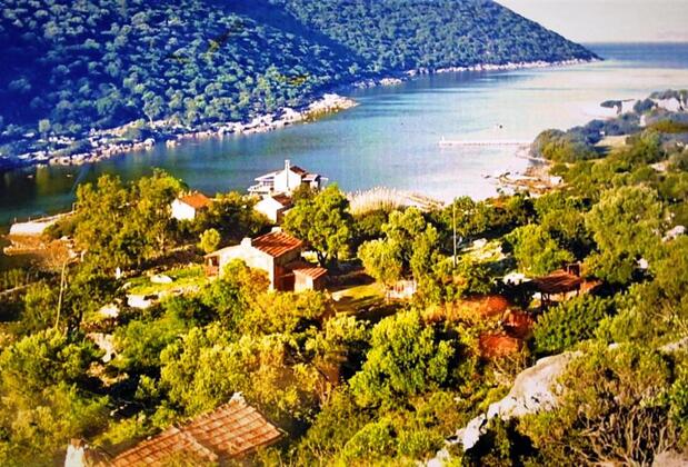 The Purple House - Görsel 20