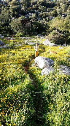 The Purple House - Görsel 6