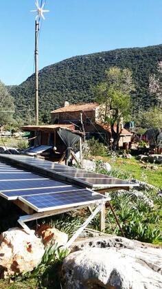 The Purple House - Görsel 35