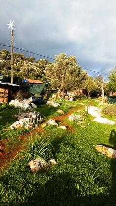 The Purple House - Görsel 21