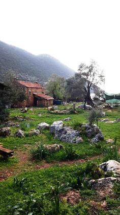 The Purple House - Görsel 13