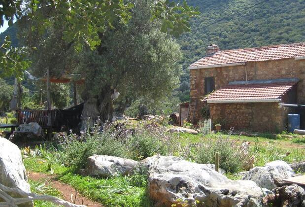 The Purple House - Görsel 23