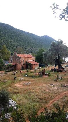 The Purple House - Görsel 22