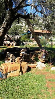 The Purple House - Görsel 29