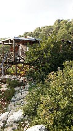 The Purple House - Görsel 3