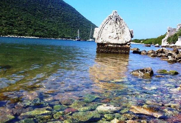 The Purple House - Görsel 8