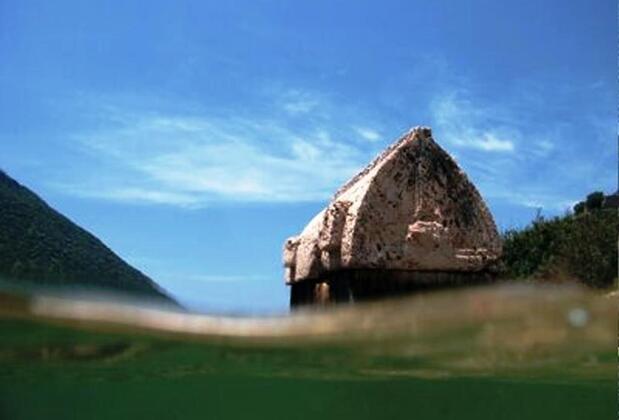 The Purple House - Görsel 24