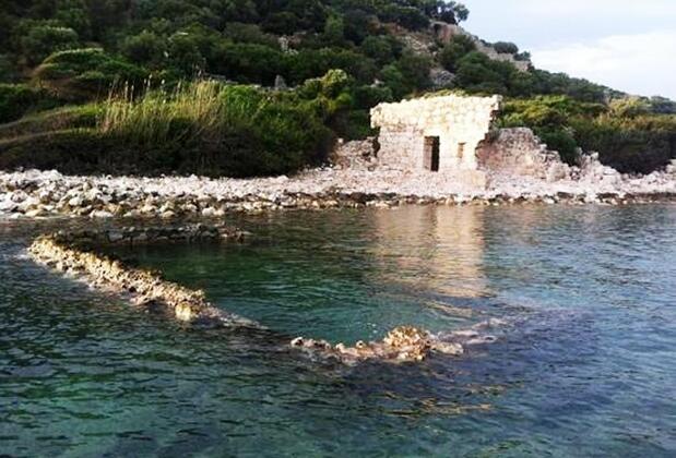 The Purple House - Görsel 25