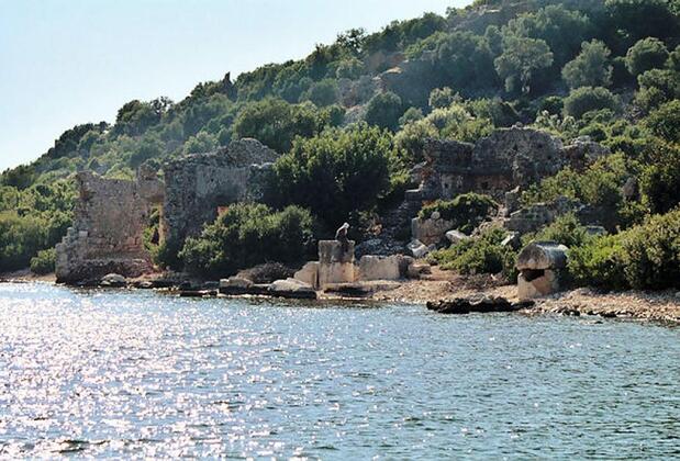 The Purple House - Görsel 37