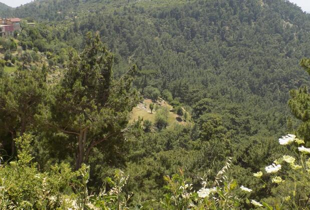 Adora Calma Beach Hotel - Görsel 8