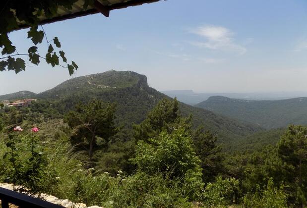 Adora Calma Beach Hotel - Görsel 6