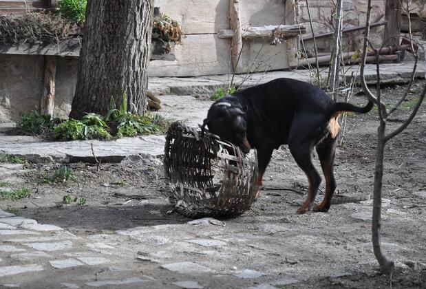 Hacı Şakirler Konağı - Görsel 13
