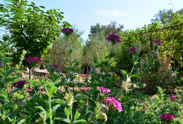 Kayaköy Pansiyon - Görsel 25