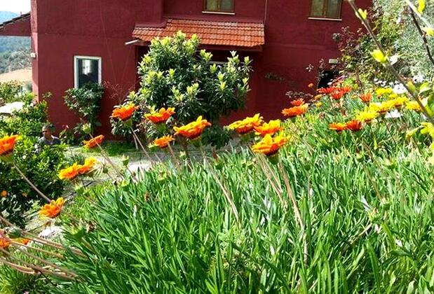 İztuzu Seaview Villa - Görsel 16