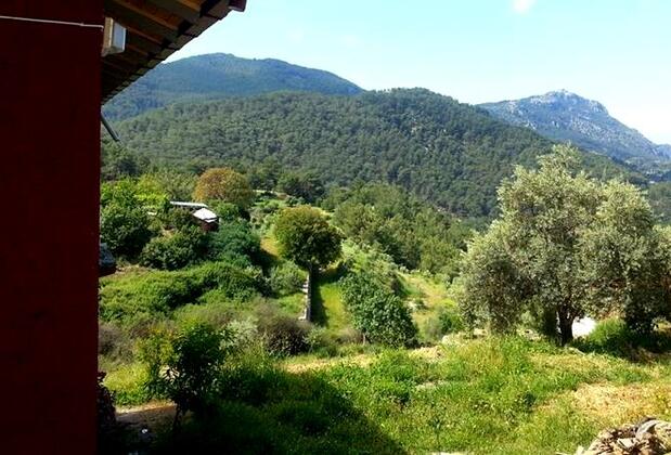 İztuzu Seaview Villa - Görsel 4