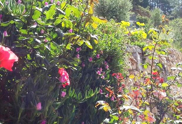 İztuzu Seaview Villa - Görsel 3