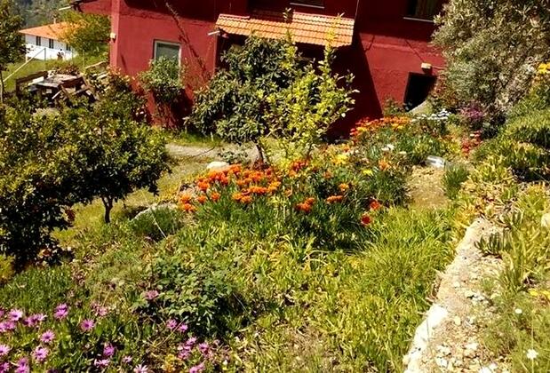 İztuzu Seaview Villa - Görsel 19