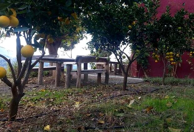 İztuzu Seaview Villa - Görsel 13