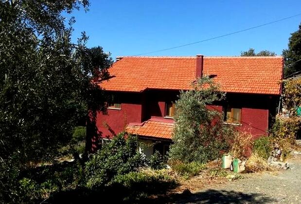 İztuzu Seaview Villa - Görsel 8