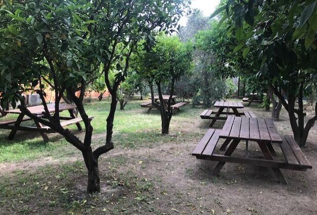 Can Otel ve Pansiyon Urla - Görsel 5