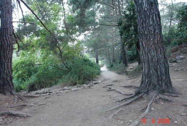 Korsan Pansiyon - Görsel 22