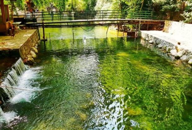 Tropik Ağaç Evler - Görsel 5