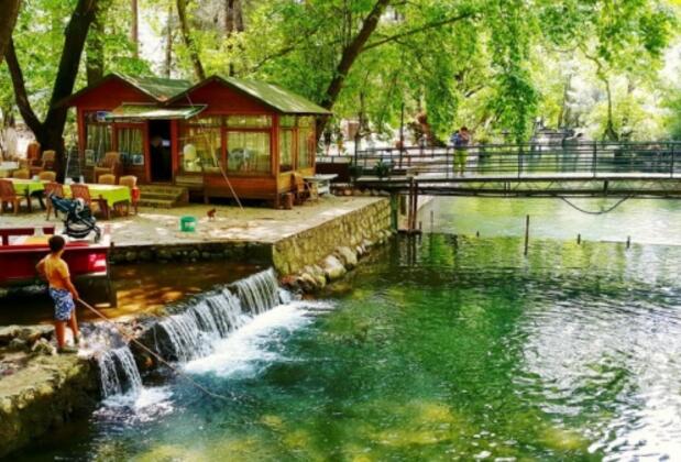 Tropik Ağaç Evler - Görsel 3