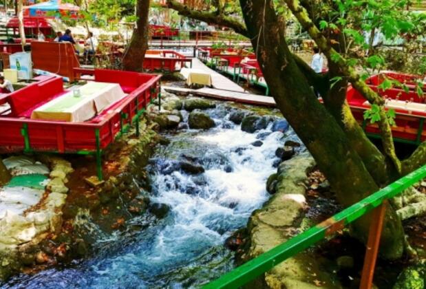 Tropik Ağaç Evler - Görsel 9