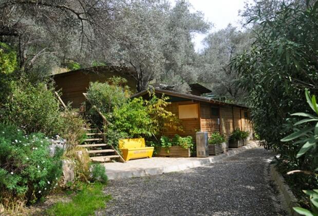 Global Sailing Resort Hotel - Görsel 7