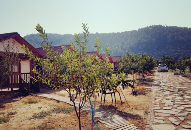 Fesleğenbükü Ahşap Evleri - Görsel 11