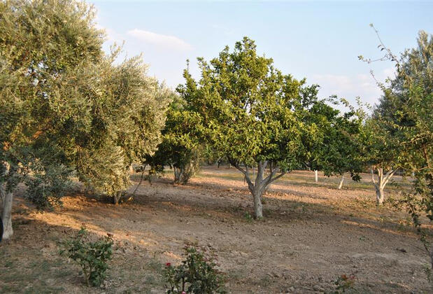 Güney Termal Otel & SPA - Görsel 5