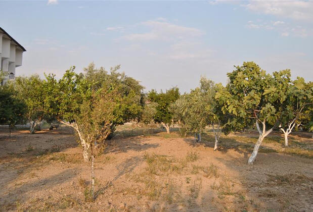 Güney Termal Otel & SPA - Görsel 37