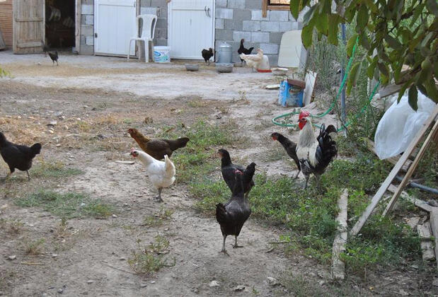 Güney Termal Otel & SPA - Görsel 36