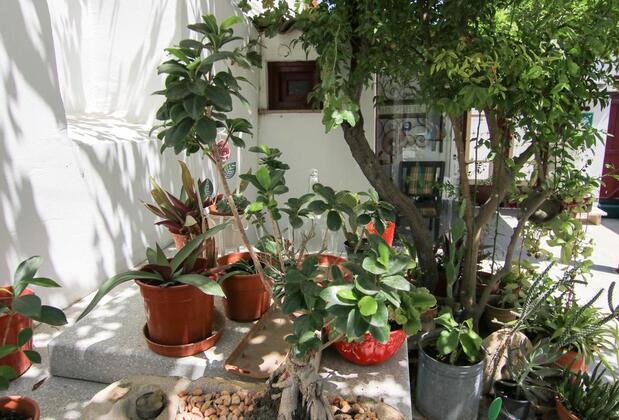 Gül Hanım House - Görsel 24