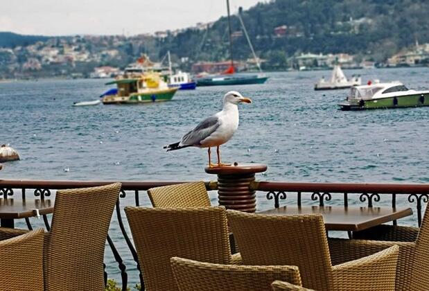Bebek Hotel İstanbul - Görsel 15