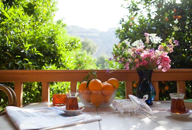 Ekinoks Hotel Çıralı - Görsel 5