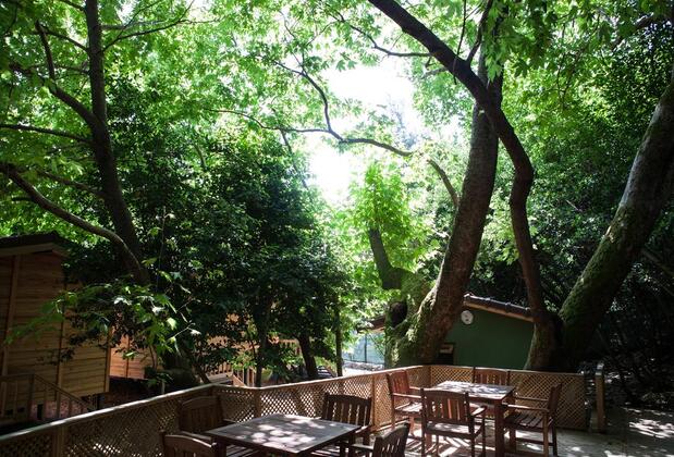 Ekinoks Hotel Çıralı - Görsel 11