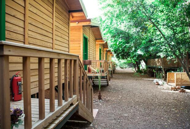 Ekinoks Hotel Çıralı - Görsel 14