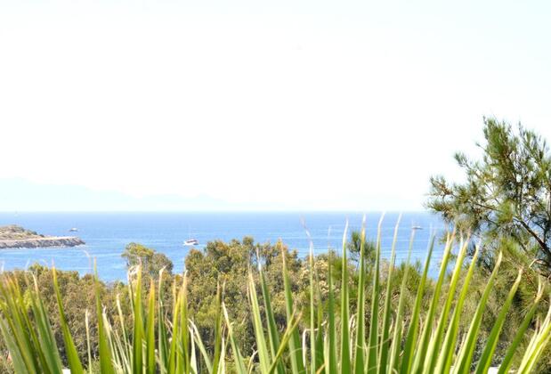 Gloriatibi Jarra Hotel - Görsel 40