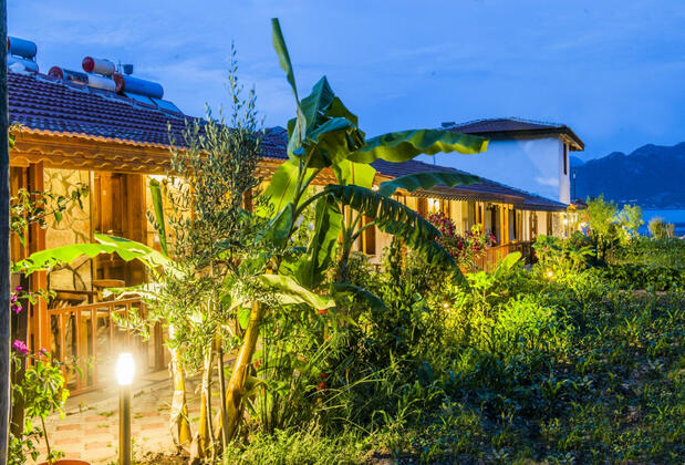 Zeytin Pansiyon - Görsel 5