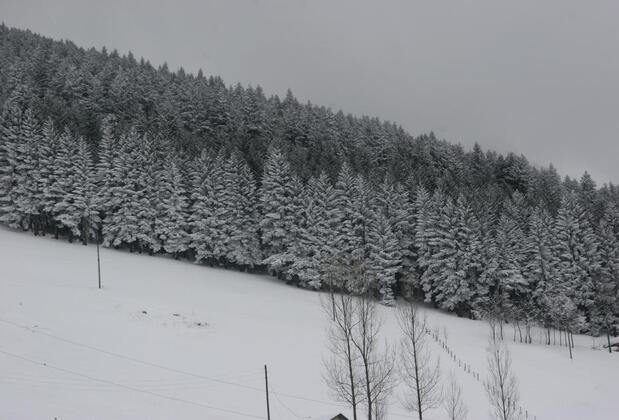 Azra Dağ Evi - Görsel 15