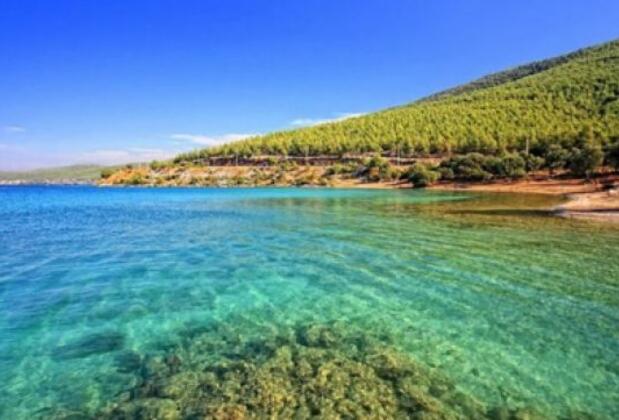 Swe Motel Cafe & Bar - Görsel 12