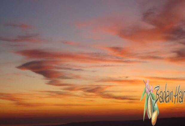 Badem Han Pansiyon - Görsel 13