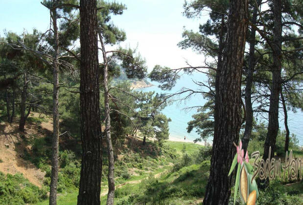 Badem Han Pansiyon - Görsel 9