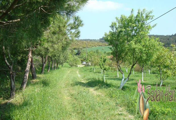 Badem Han Pansiyon - Görsel 20