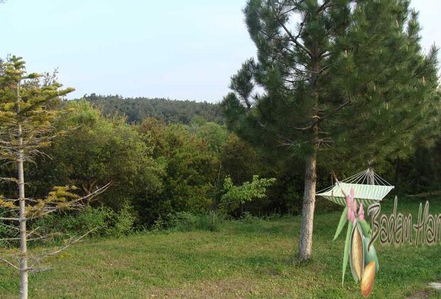 Badem Han Pansiyon - Görsel 28