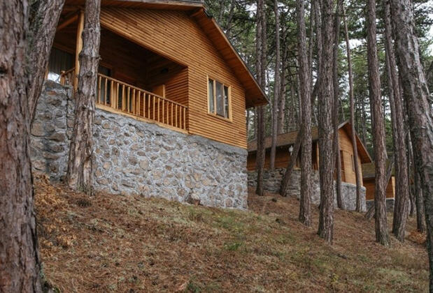 Patalya Thermal Resort Hotel - Görsel 23