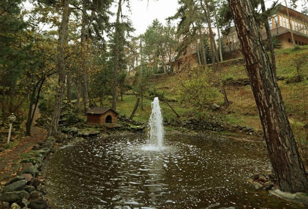 Patalya Thermal Resort Hotel - Görsel 15